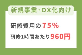 人材開発支援助成金_新規事業DX